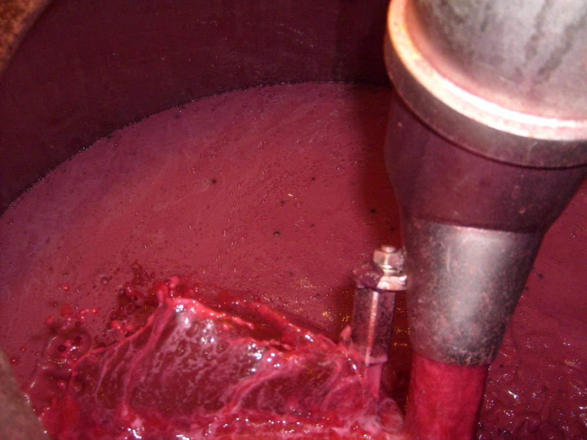 La Giribaldina Winery & Farmhouse Calamandrana Екстер'єр фото