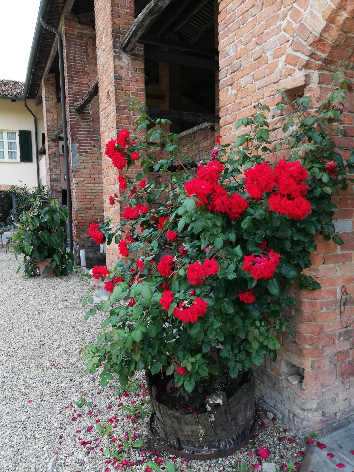 La Giribaldina Winery & Farmhouse Calamandrana Екстер'єр фото